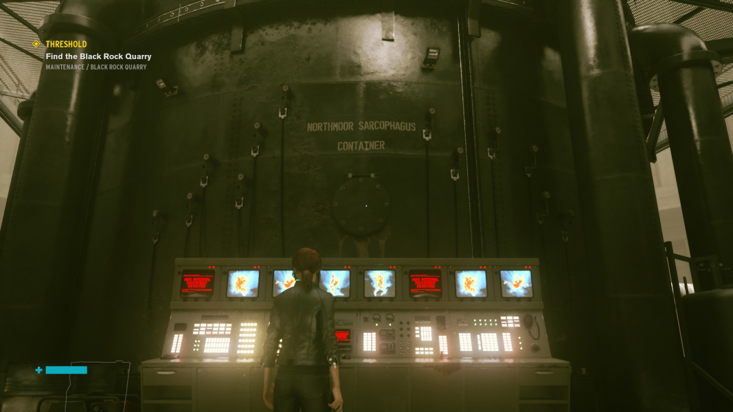 The Northmoor Sarcophagus Container.