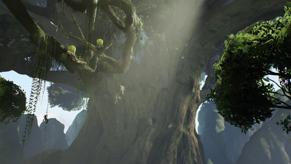 A large tree on Kashyyyk.