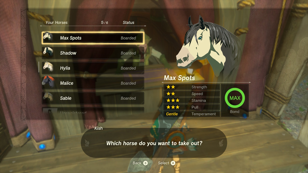 Imported horses from Breath of the Wild.